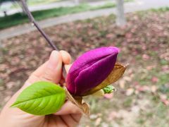 -陕西师范大学(雁塔校区)