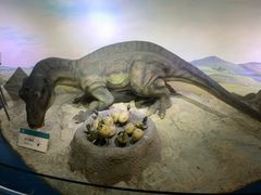 -国家自然博物馆