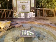 -天目湖涵田半山温泉