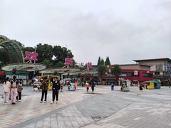 -成都欢乐谷