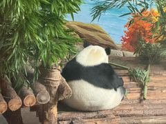 -青藏高原野生动物园