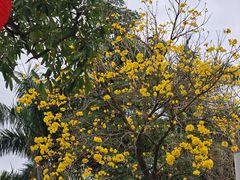 -中国移动南方基地