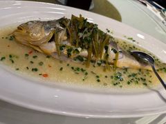 -老洋房花园饭店(绍兴路店)