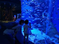 -成都浩海立方海洋公园