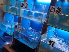 水产区-春暖花开(西溪店)