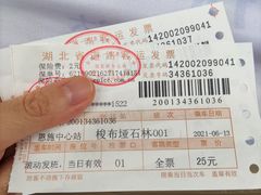 -梭布垭石林景区