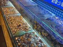 -芭菲盛宴·环球美食(北城国际店)