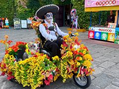 -大连海昌发现王国主题公园