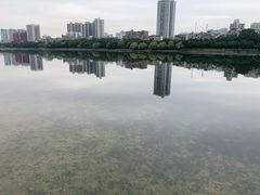 -南宁南湖公园