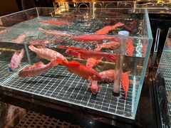 -璞御·海鲜·雪花牛肉局(宾水西道店)