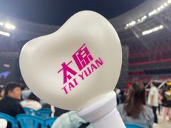 -山西体育中心红灯笼体育场
