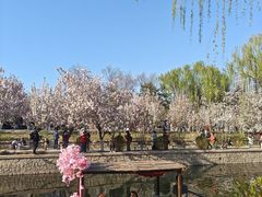 -元大都城垣遗址公园