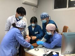-联合动物医院(光谷诊疗中心)
