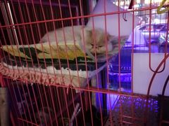 -大富豪KTV(东四道街店)