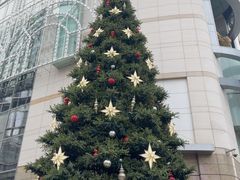 -乐天免税店(明洞店)