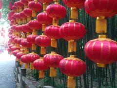 -洛阳白云山景区