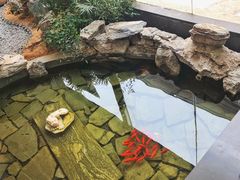 -纳地素食(石门公园店)