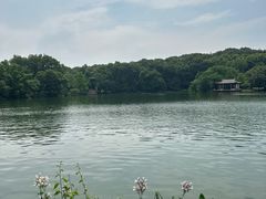 -紫霞湖公园