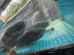 -浔味·山屿湖·正宗淳牌全鱼宴老字号