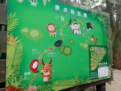-海南热带野生动植物园