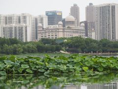 -月湖风景区