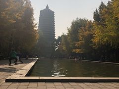 -玲珑塔公园