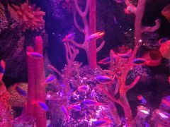 -沈阳海洋探索中心