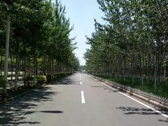 -天津现代职业技术学院