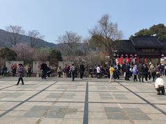 -香雪海