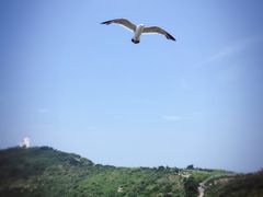 -海驴岛(荣成市)