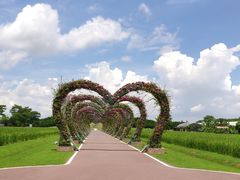 -迪茵湖田家舍生态农场