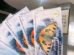 -上海昆虫博物馆