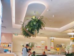 -Aqua Oasis 水天堂(太湖中心mall店)