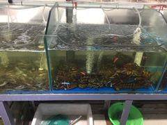 水产区-87号烧烤海鲜·大排档(金沙滩店)