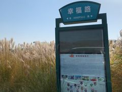 -伏羲大峡谷