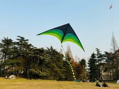 -上海共青森林公园