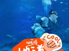 -珠海长隆海洋王国