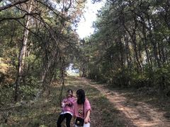 -青龙山国家森林公园