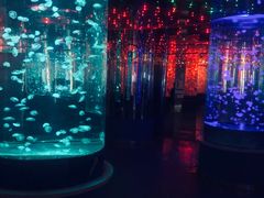 -石家庄海洋公园