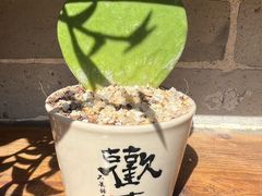 -三溪村