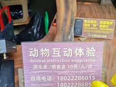 -长鹿旅游休博园