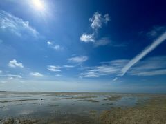 -北海金海湾红树林生态旅游区