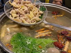 五指毛桃嫩鸡锅-小煵记·打边炉(西丽文光店)