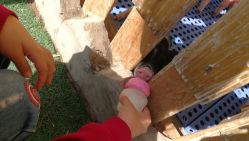 -萌宠亲子动物乐园(槐房万达店)