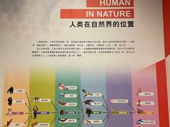 -天津自然博物馆