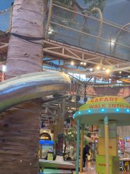 -卡通尼·Safari非洲探索乐园·生日会(金桥国际商业广场店)