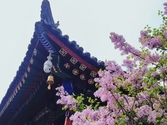 -西安市广仁寺