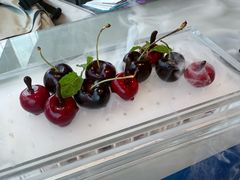 -小大董·烤鸭(观景餐厅·南京西路店)