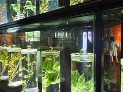 -广东中医药博物馆