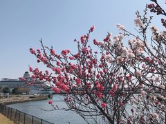 -横滨红砖仓库1号馆